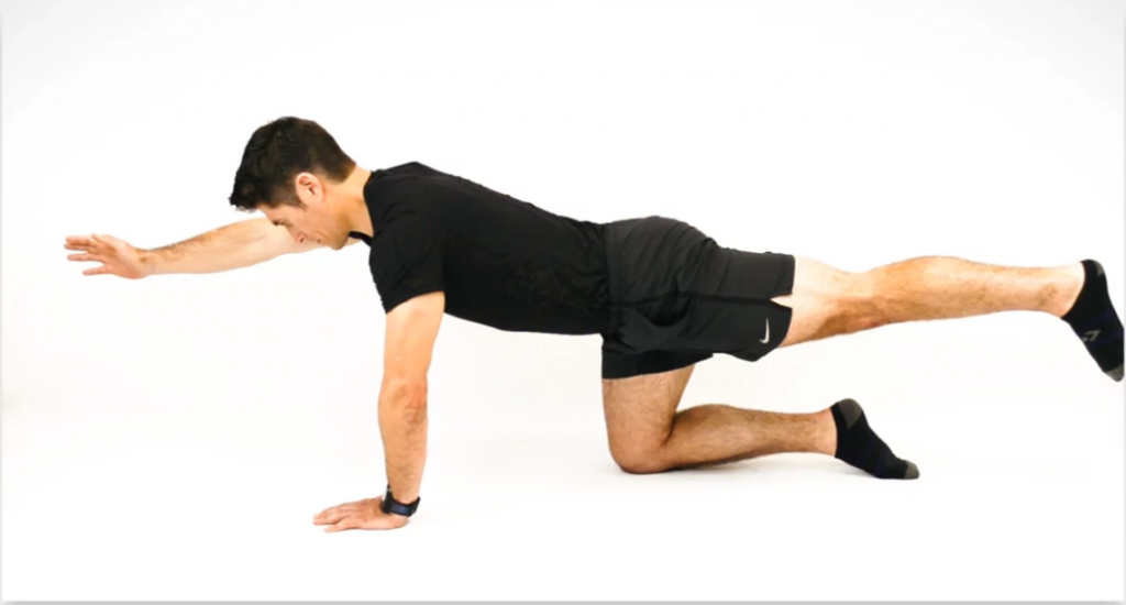 Low Back and Core Strengthening in 10 Minutes.